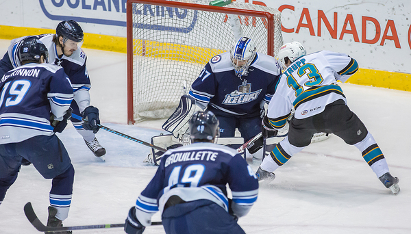 worster-sharks-feb-15-web-4-of-38