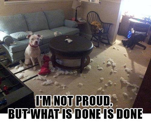 ImNotProud