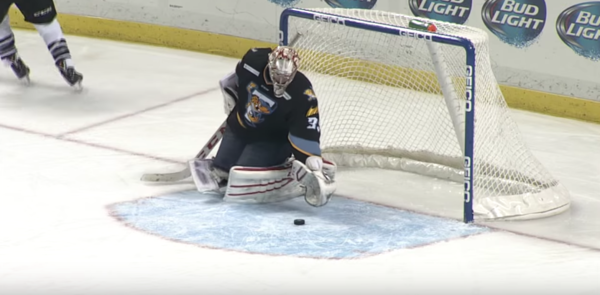 Red Wings, Toledo Walleye extend affiliation partnership